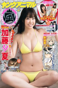 理智派生活电视剧免费观看完整版